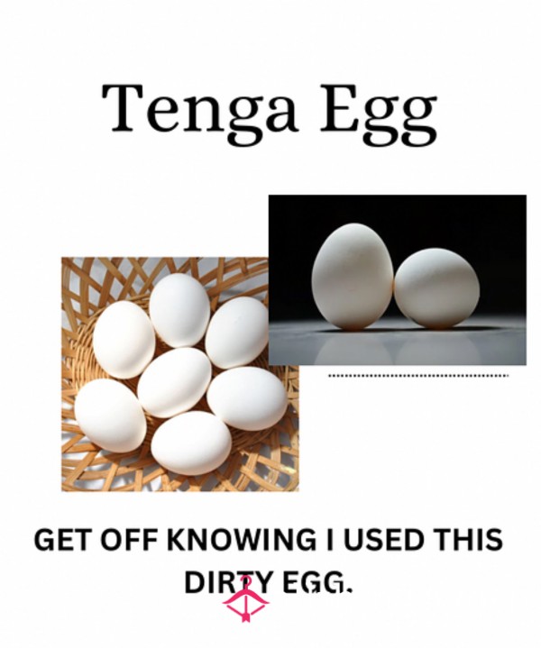 Tenga Egg