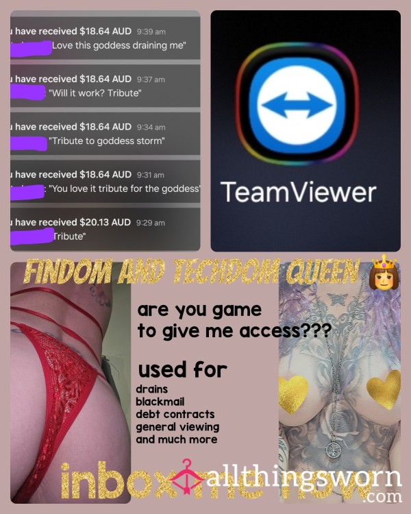 The Ultimate Findom Techdom Experience