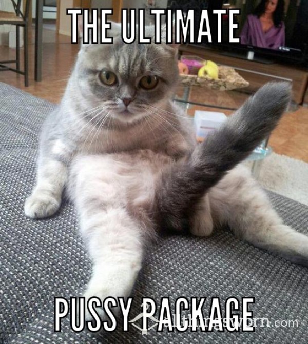 The Ultimate Pu**y Package 🐈‍⬛