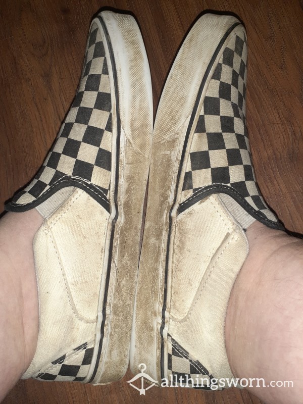 The Vans From The Goo Lagoon