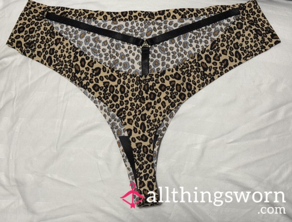 🐯 Down Tiger Panties Worn 24 Hour Extra Wet 💦