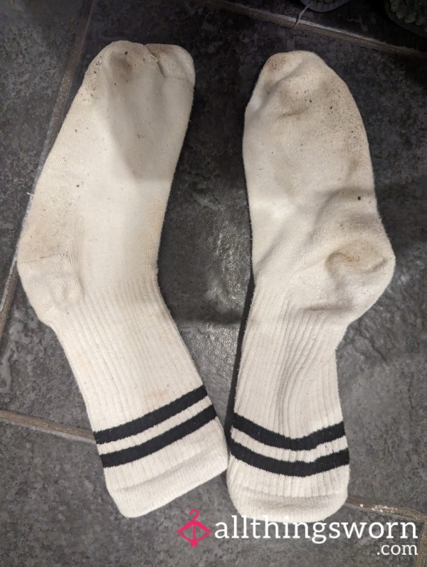 Today's Stinky Sweaty Dirty Socks