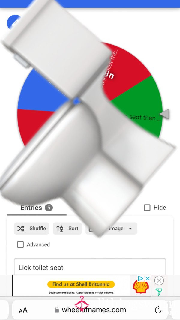 Toilet Tasks Wheel Spin