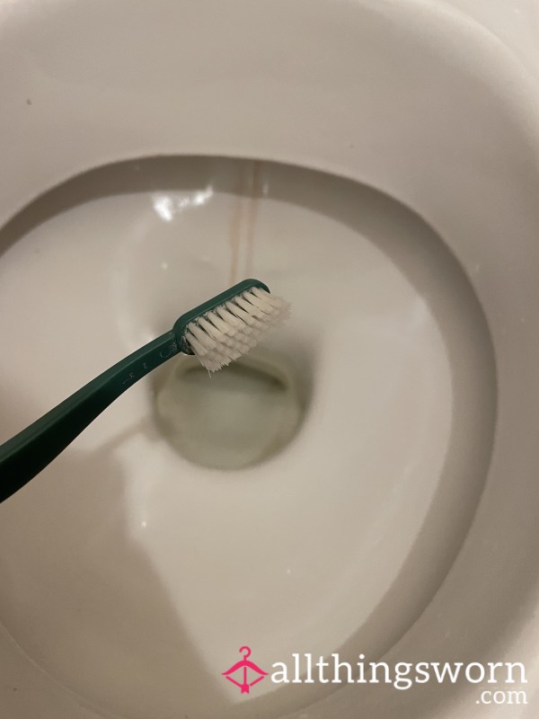 Toiletbrush 🚽🧻🪥