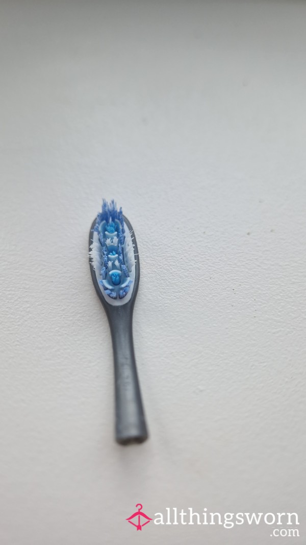 Toothbrush Head