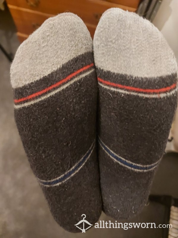 Trainer Socks