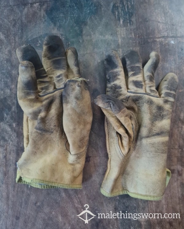 Trashed Work Gloves