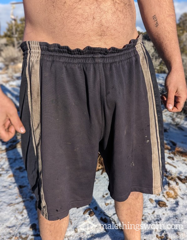 Travelers Shorts