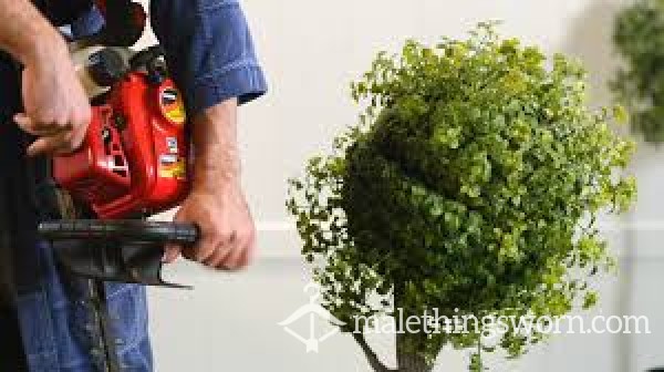 Trimming My Bush