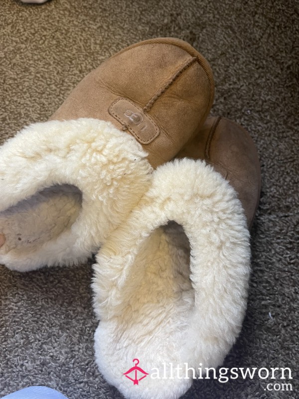 Ugg House Slippers