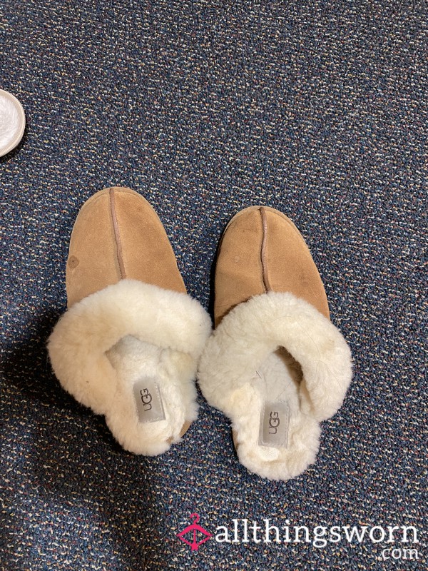 UGG Slippers