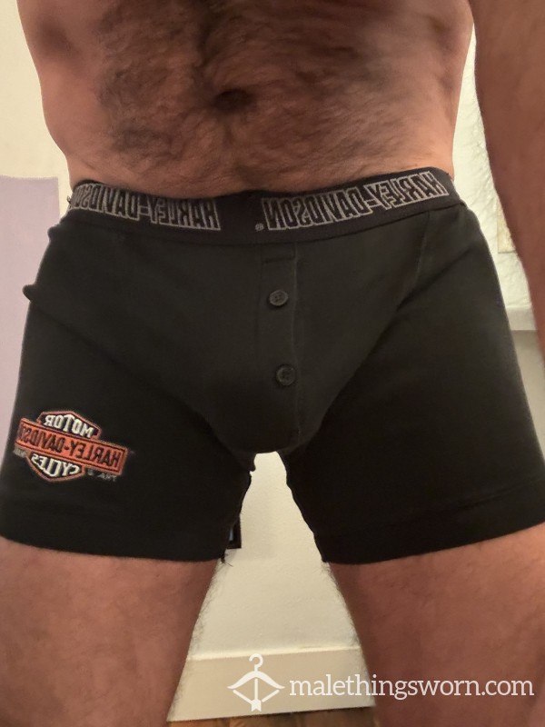 Unique Harley Davidson Trunks (M) (SOLD)