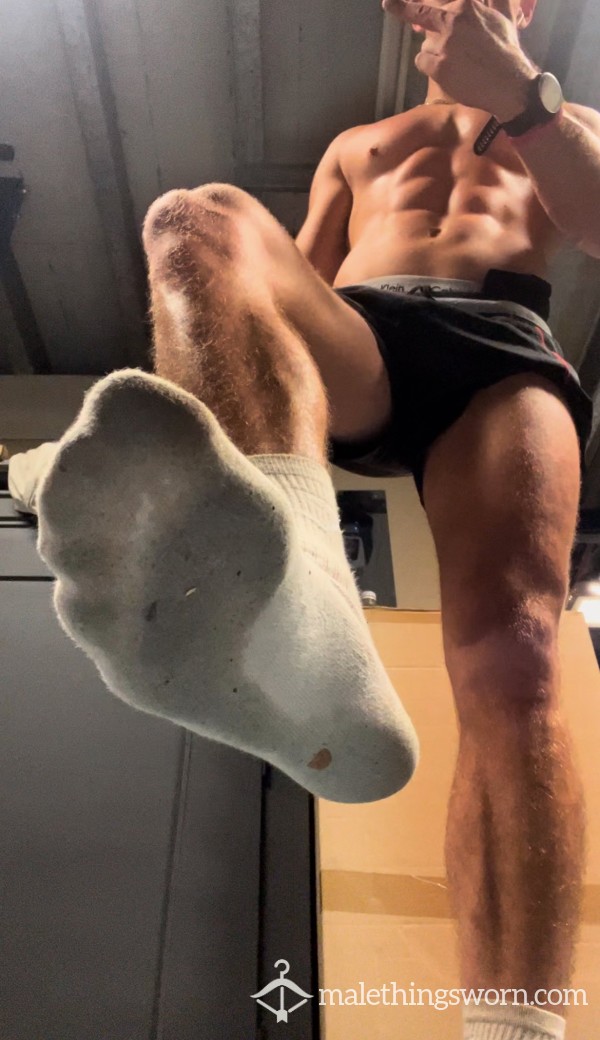 Used Alpha Stud Socks