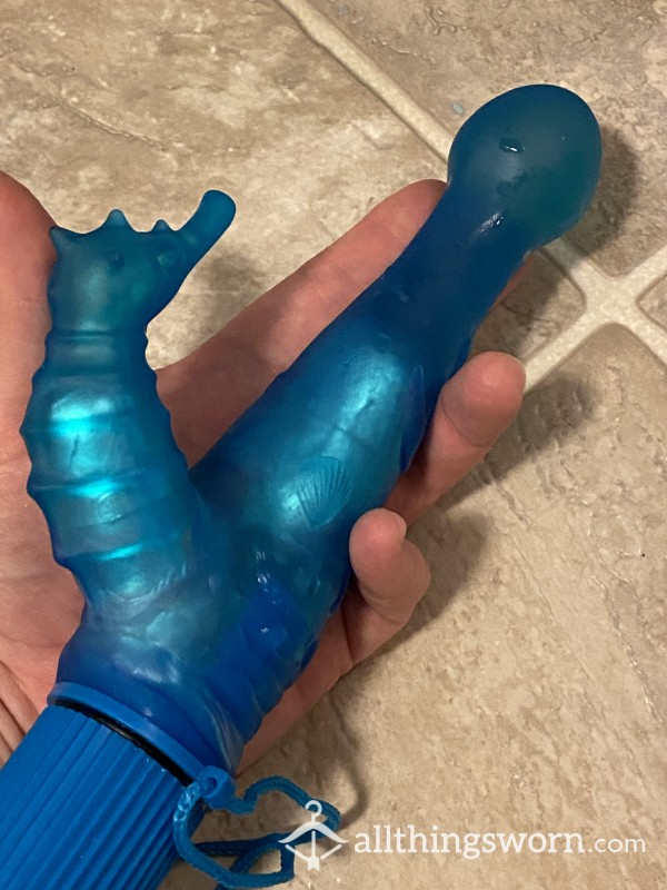 Used Blue Seahorse Vibrator