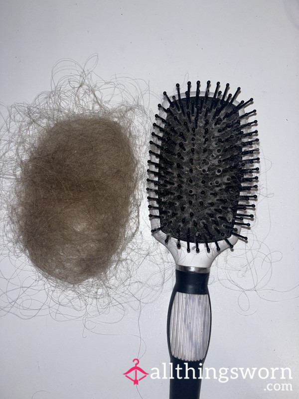 Used Dirty Hairbrush