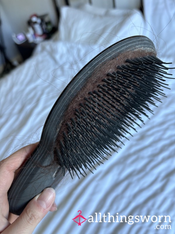 Used Hairbrush