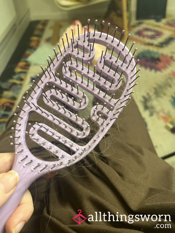 Used Hairbrush