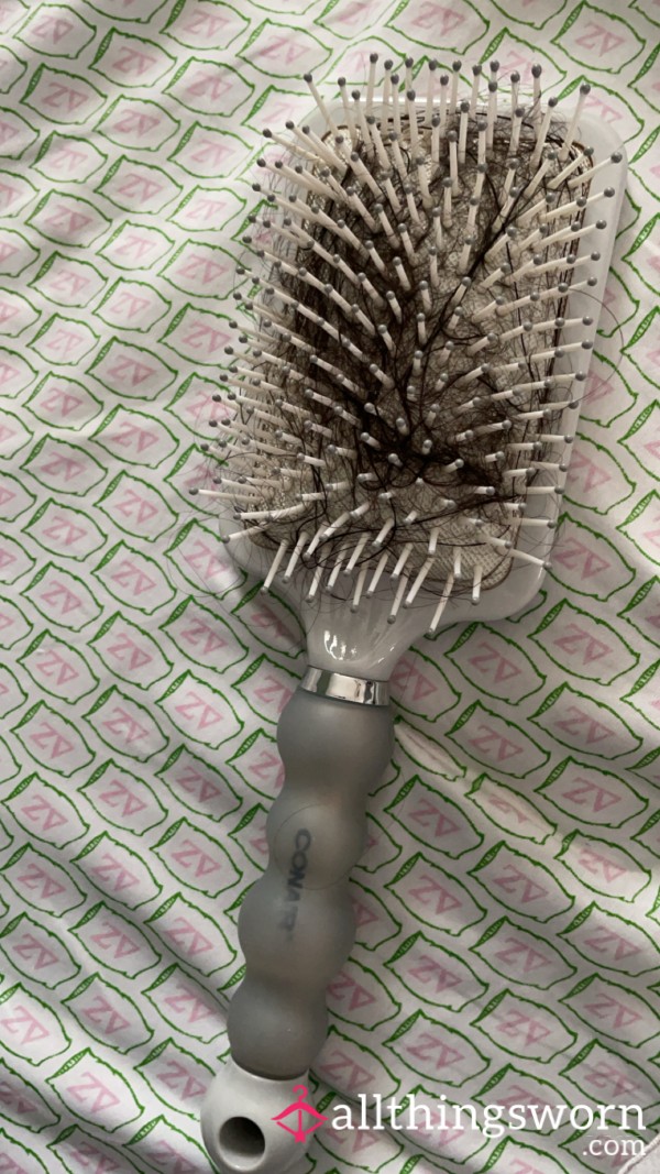 Used Hairbrush (2 Yr Old Brush)