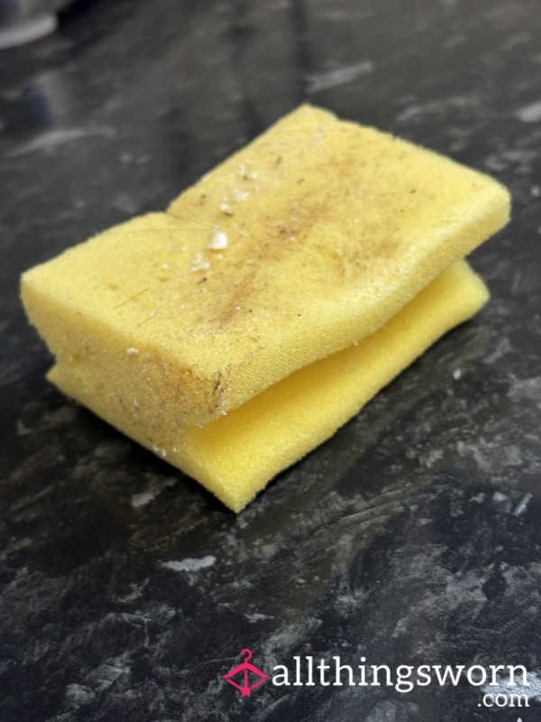 Used Kitchen Sponge