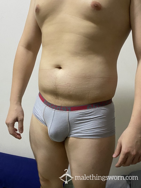 Used RENOMA Boxer Briefs