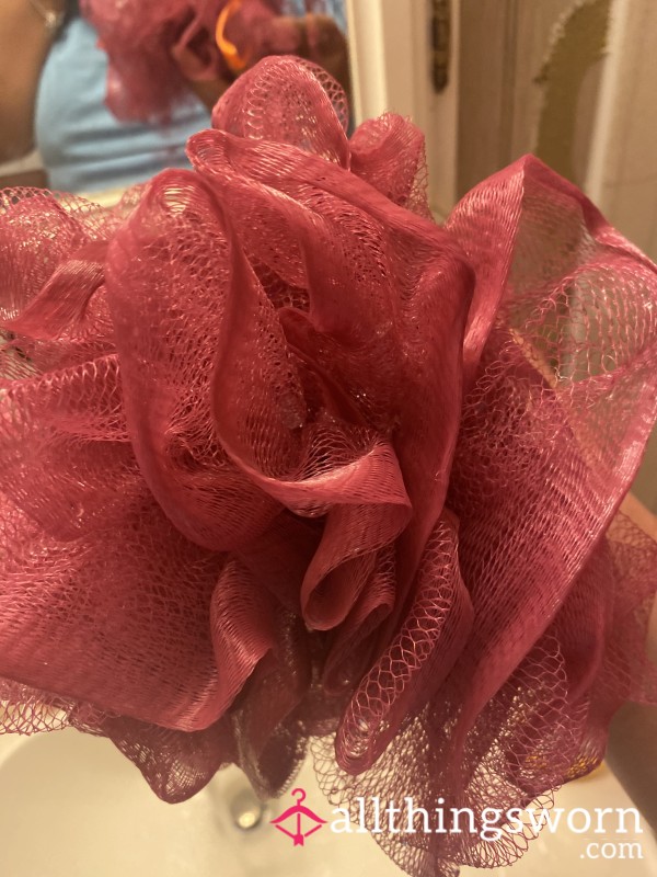 🌸REDUCED🌸Used Shower Loofah