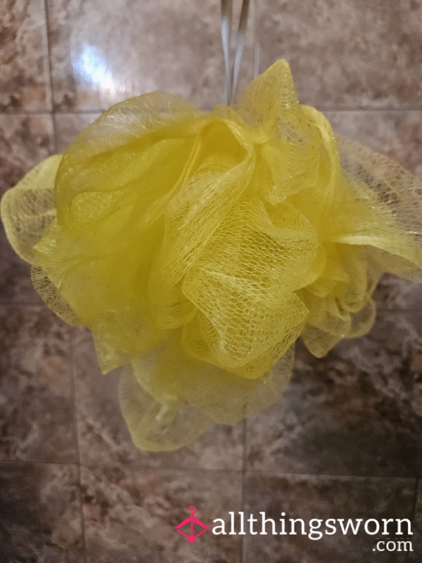 Used Shower Loofah.