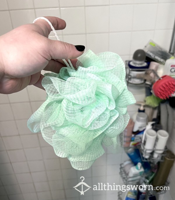 Used Shower Loofah