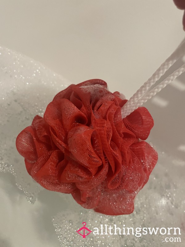 Used Shower Loofah/sponge