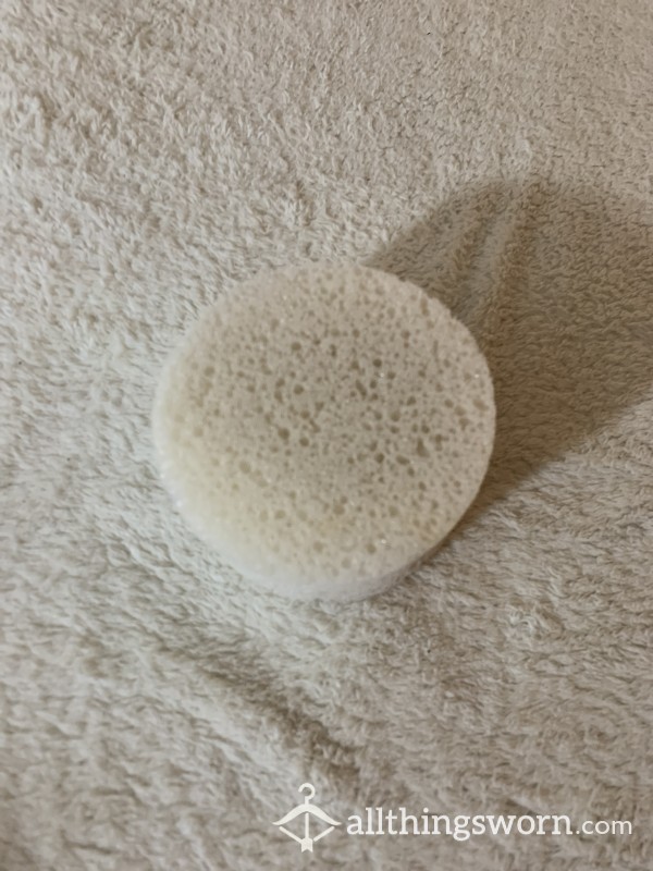 Used Shower Sponge