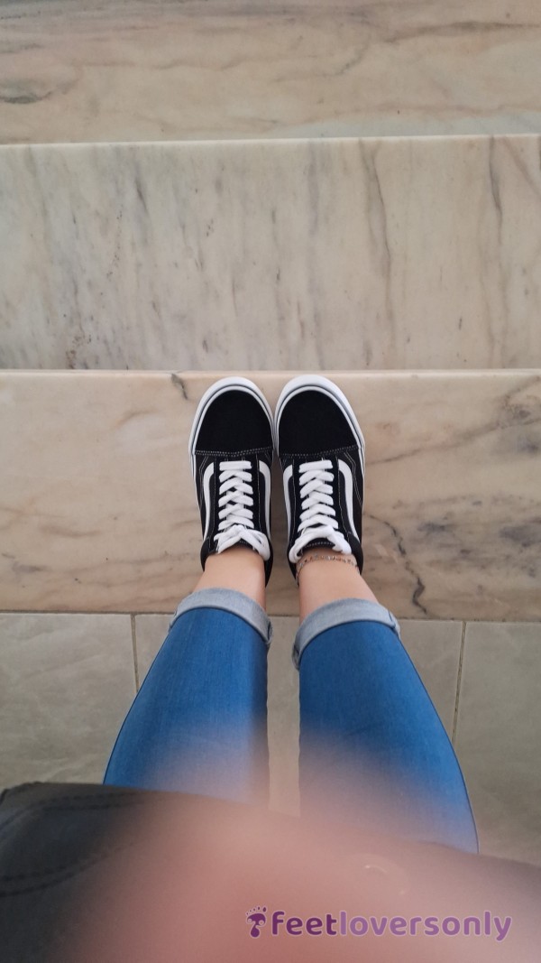 Vans Like Fans!