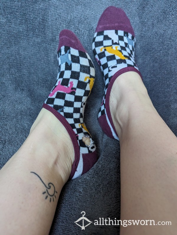 Vans No Show Dog Socks