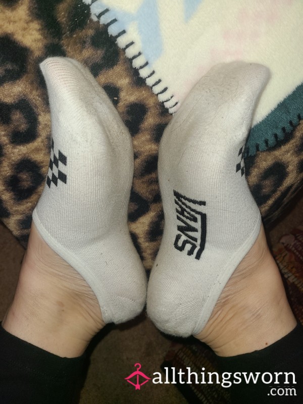 Vans Socks 1 Week Wear