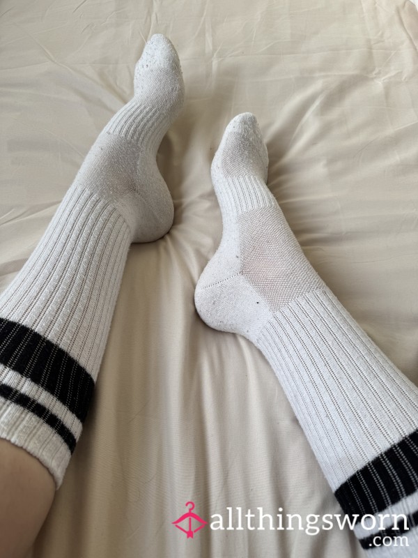 Very Old Gym Socks, 48hr Wear 🧦