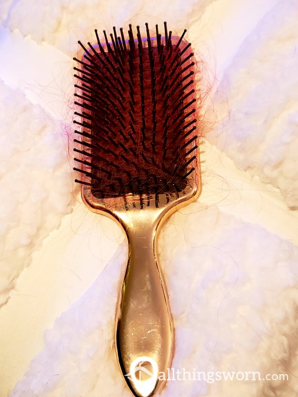 Very Used Hairbrush Full Of Hair