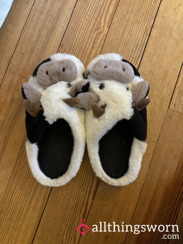 Very Well Loved Slippers