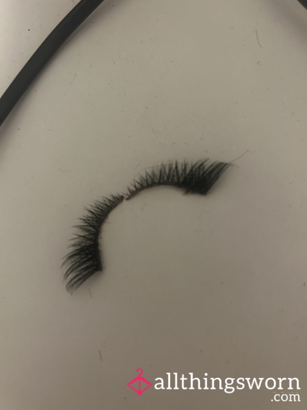 Very Well Used False Lashes