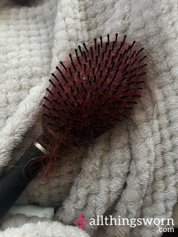 Very Well Used Hairbrush