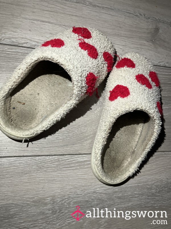 Very Well Used Slippers