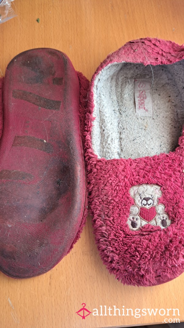 Very Well Worn Royal Slippers