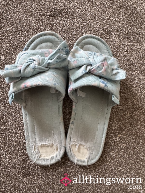 Very Well-worn Slippers