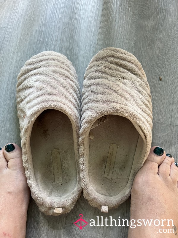 Very Well Worn Slippers