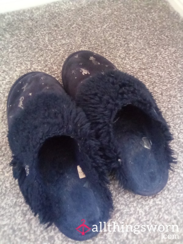 Very Well Worn Slippers