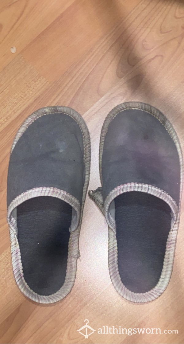 Very Well Worn Slippers