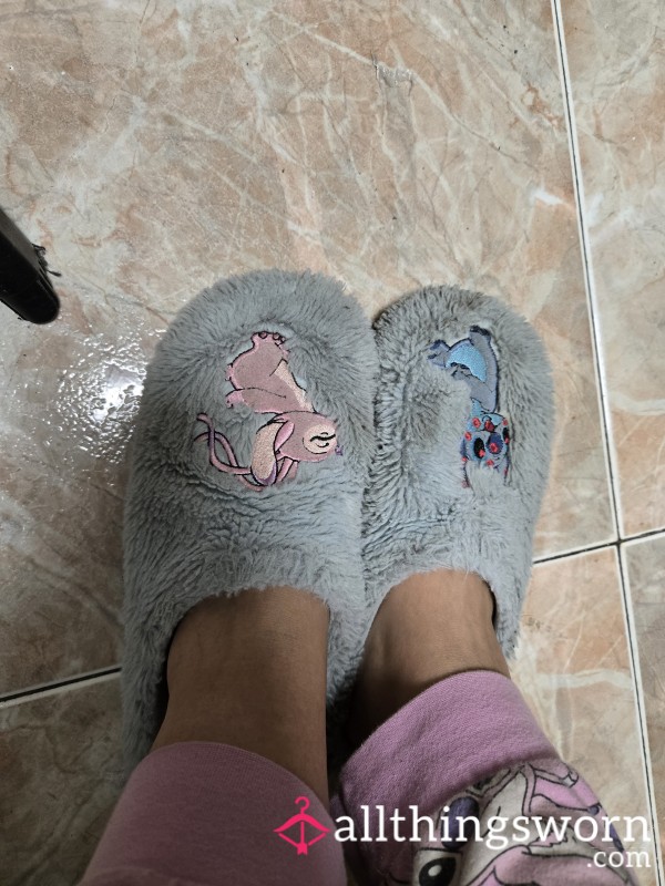 Very Worn Dirty Slippers😁