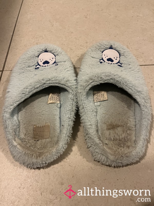 Very Worn Slippers