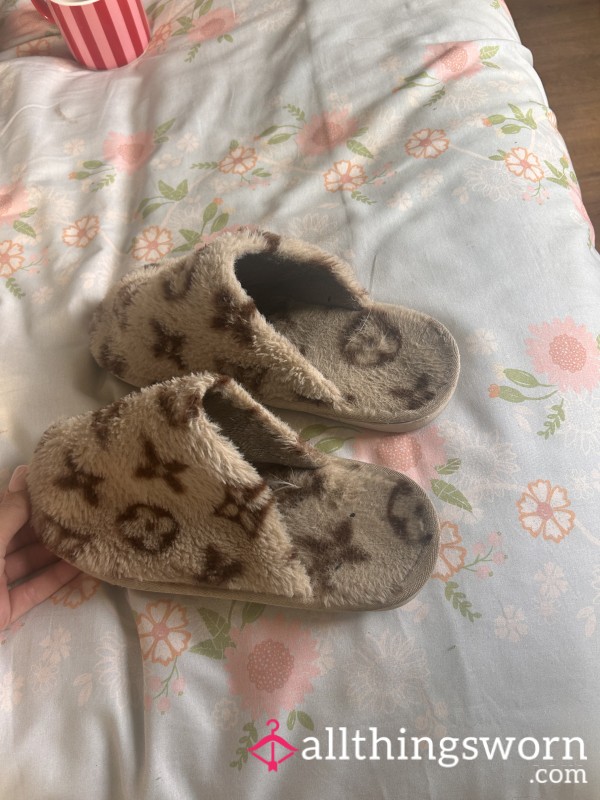 Very Worn Slippers