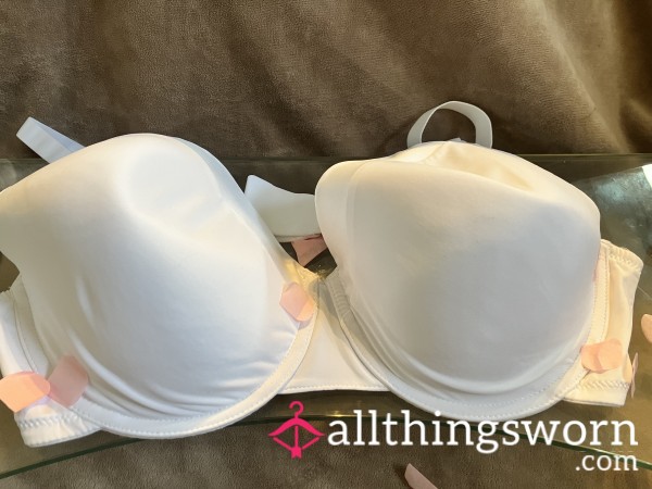 40DD MILF BRA