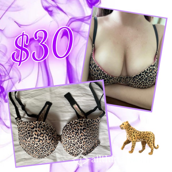 SOLD🐆VS Well-worn Bra🐆