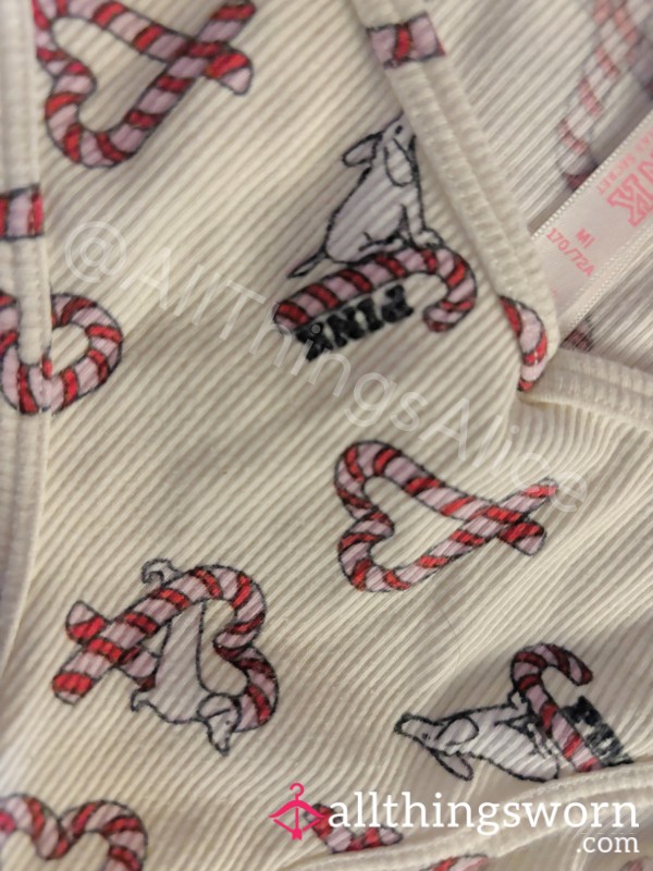 🎅 Weiner Dog Candy Cane Panties