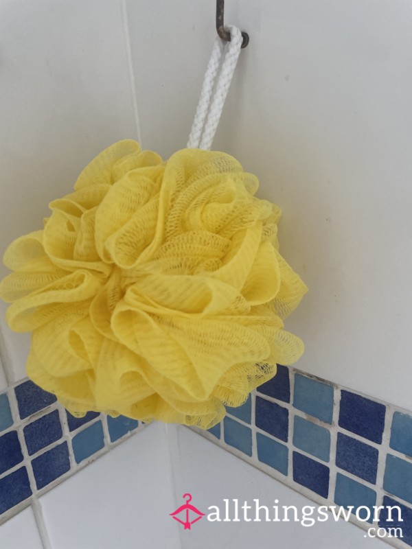 Well-used Body Loofah